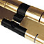 Yale Superior Anti-Snap Euro Cylinder - 40/60 (100mm), Polished Brass (with 3 keys)