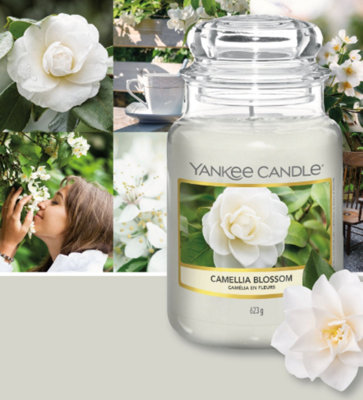 Yankee Candle Original Large Jar 623g Camellia Blossom Scented Candle 110-150 Hours 1651381E - 5