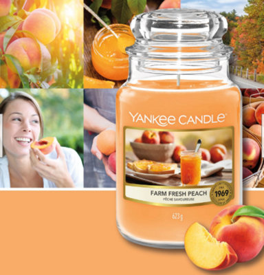 Yankee Candle Original Large Jar 623g Farm Fresh Peach Scented Candle 110-115 Hours 1631381E - 4