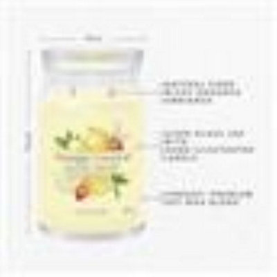 Yankee Candle Signature Large Jar Iced Berry Lemonade 2 Wick