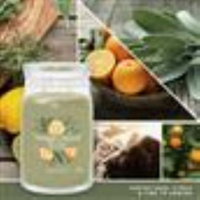 Yankee Candle Signature Large Jar Sage & Citrus 2 Wick - 5