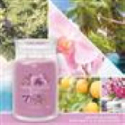 Yankee Candle Signature Large Jar Wild Orchid 2 Wick - 5