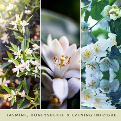 Yankee Candle Signature Medium Jar Midnight Jasmine - 4