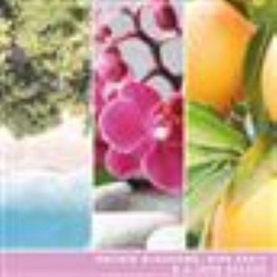 Yankee Candle Signature Multi Wick Tumbler Wild Orchid - 4