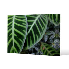 yellow structure in exotic jungle setting (Canvas Print) / 127 x 101 x 4cm