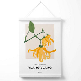 Yellow Ylang Ylang Plant Flower Market Spring Poster with Hanger / 33cm / White