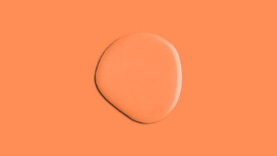 YesColours Electric Orange eggshell paint,  1 Litre, Premium, Low VOC, Pet Friendly, Sustainable, Vegan