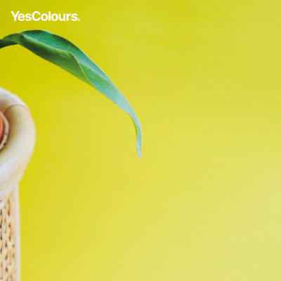 YesColours Electric Yellow matt emulsion paint, 1 Litre, Premium, Low VOC, Pet Friendly, Sustainable, Vegan