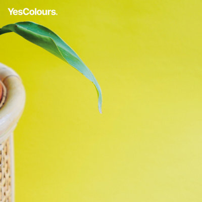 YesColours Electric Yellow matt emulsion paint, 5 Litres, Premium, Low VOC, Pet Friendly, Sustainable, Vegan