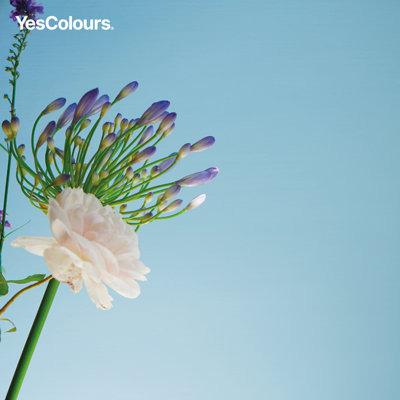 YesColours Friendly Blue matt emulsion paint, 2 Litres