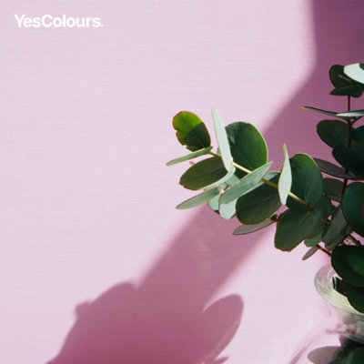 YesColours Friendly Pink matt emulsion paint, 2 Litres, Premium, Low VOC, Pet Friendly, Sustainable, Vegan