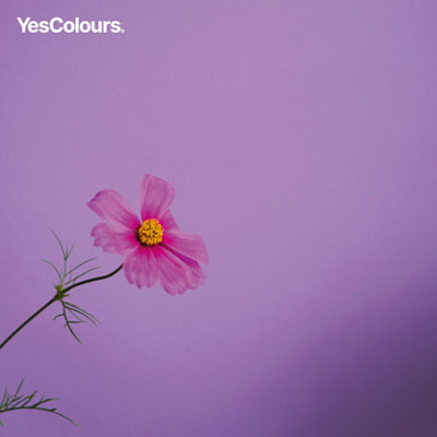 YesColours Joyful Lilac matt emulsion paint, 2 Litres, Premium, Low VOC, Pet Friendly, Sustainable, Vegan