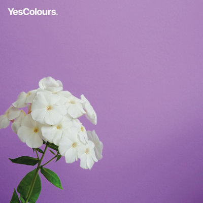 YesColours Joyful Lilac paint swatch, perfect colour match