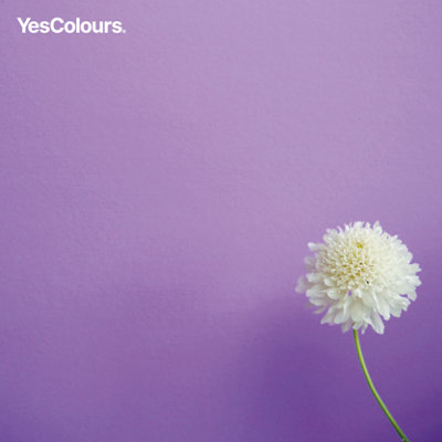 YesColours Joyful Lilac paint swatch, perfect colour match