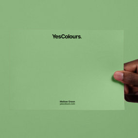 YesColours Mellow Green paint swatch, perfect colour match