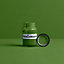YesColours Mindful Green paint sample (60ml), Premium, Low VOC, Pet Friendly, Sustainable, Vegan
