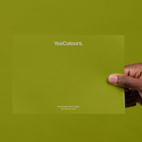 YesColours Passionate Olive Green paint swatch, perfect colour match