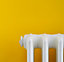 YesColours Passionate Yellow matt emulsion paint, 1 Litre, Premium, Low VOC, Pet Friendly, Sustainable, Vegan