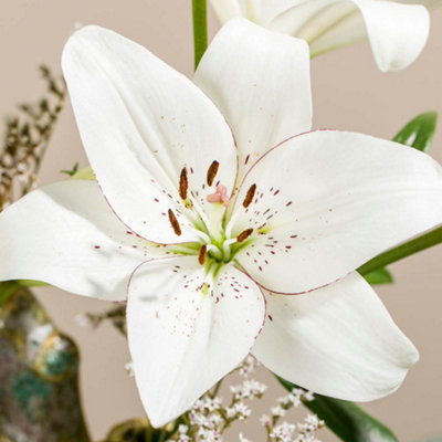 Lily YouGarden Lily 'Eyeliner', 12 x Bulbs Size 12/14, White Fragrant