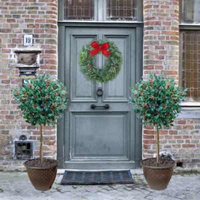 YouGarden Pair of Standard Holly Trees
