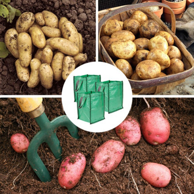 YouGarden Potato Growing Selection, Grow Your Own Potatoes, Three Seed Varieties and Three Growing Pod Bags