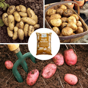 YouGarden Potato Top Up Collection, with 18 Tubers, Six of Three Popular Potato Varieties, Plus 1kg Potato Fertiliser