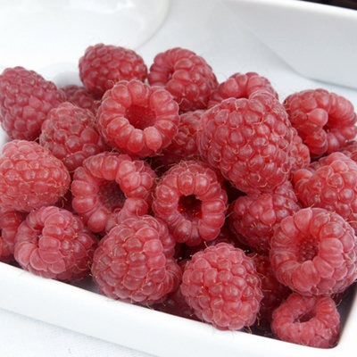 YouGarden Raspberry 'Glen Ample' Long Cane, Set of Five Raspberry Canes ...