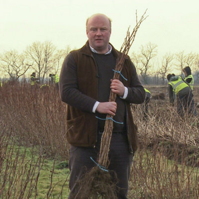 YouGarden Raspberry 'Glen Ample' Long Cane, Set of Five Raspberry Canes ...