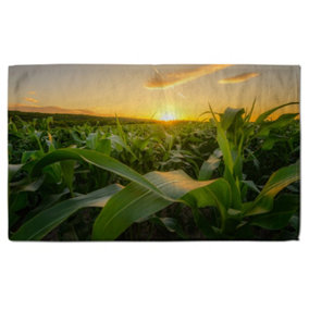 Young green corn growing on the field at sunset (Bath Towel) (Bath Towel) / Default Title