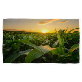 Young green corn growing on the field at sunset (Kitchen Towel) (Kitchen Towel) / Default Title