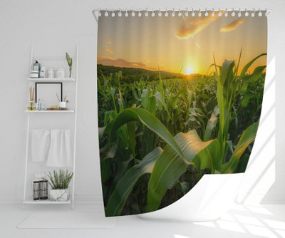 Young green corn growing on the field at sunset (Shower Curtain) (Shower Curtain) / Default Title