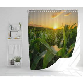 Young green corn growing on the field at sunset (Shower Curtain) (Shower Curtain) / Default Title
