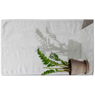 Zamioculcas (Bath Towel) / Default Title Price Comparisons | Compare The Build