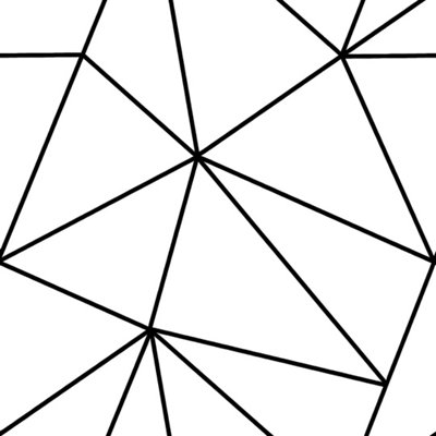 Zara Mono Geometric Wallpaper in White and Black