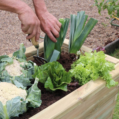 Zest Rectangular Sleeper Raised Wooden Bed Garden Planter 1.8m x 0.45m - 6