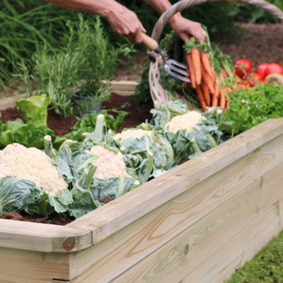 Zest Rectangular Sleeper Raised Wooden Bed Garden Planter 1.8m x 0.9m - 8