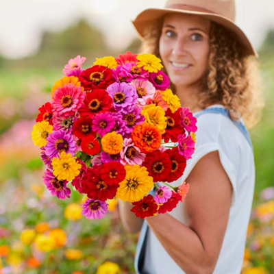 Zinnia Dahlia Flowered Mixed 1 Seed Packet