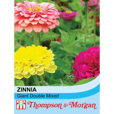 Zinnia Elegans Giant Double Mixed 1 Seed Packet (60 Seeds)