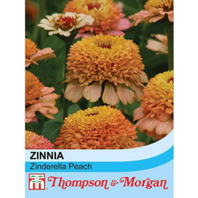 Zinnia elegans Zinderella Peach 1 Packet (20 Seeds)