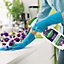 Zoflora Multi-Purpose Disinfectant Cleaner Midnight Blooms 800ml