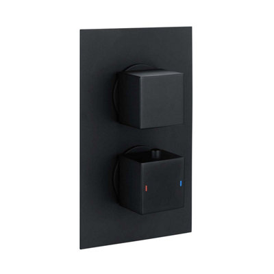 Zoia Black Double Outlet Thermostatic Valve with Square Controls & Slide Rail Kit - 4