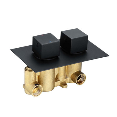 Zoia Black Double Outlet Thermostatic Valve with Square Controls & Slide Rail Kit - 5